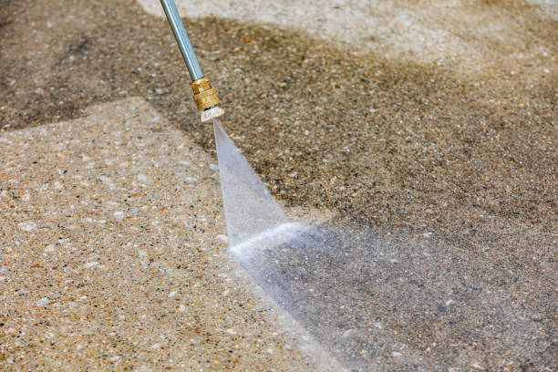 Best Dumpster Area Cleaning  in Williamsburg, FL